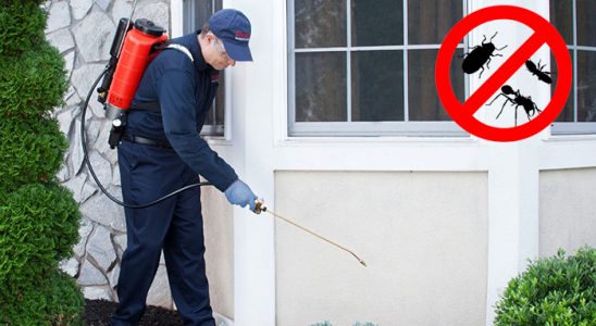 Arnavutköy Gümüşkurt İlaçlama böcek ilaçlama ve haşere kontrolü — ilaclama-tr.com